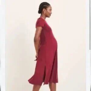Hatch The Virginia Seamed Dress - Berry / 4 (Maternity)